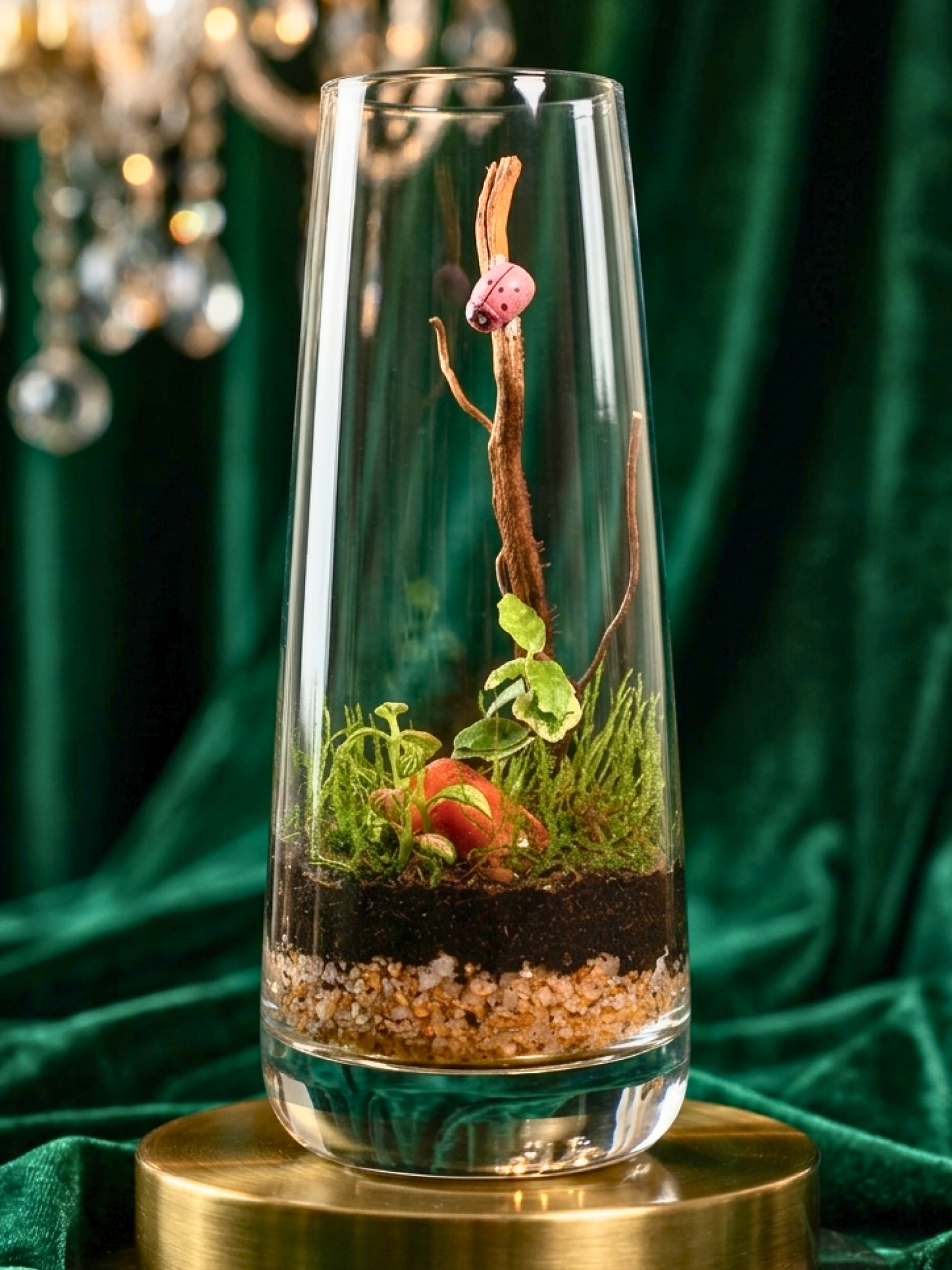 Modern Signature Luxe Terrarium by Lilli Plants featuring woodland-inspired miniature landscape