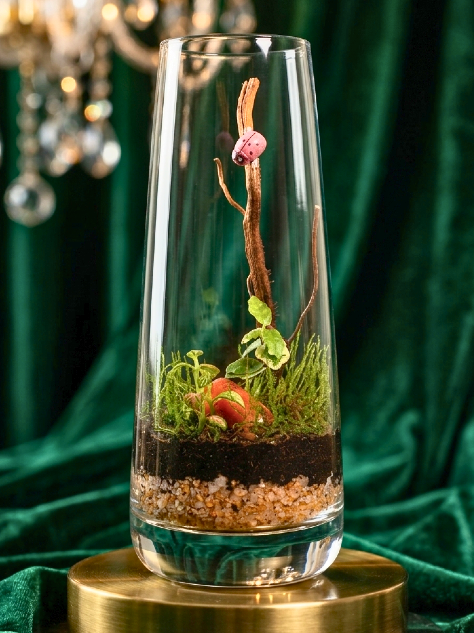 Modern Signature Luxe Terrarium by Lilli Plants featuring woodland-inspired miniature landscape