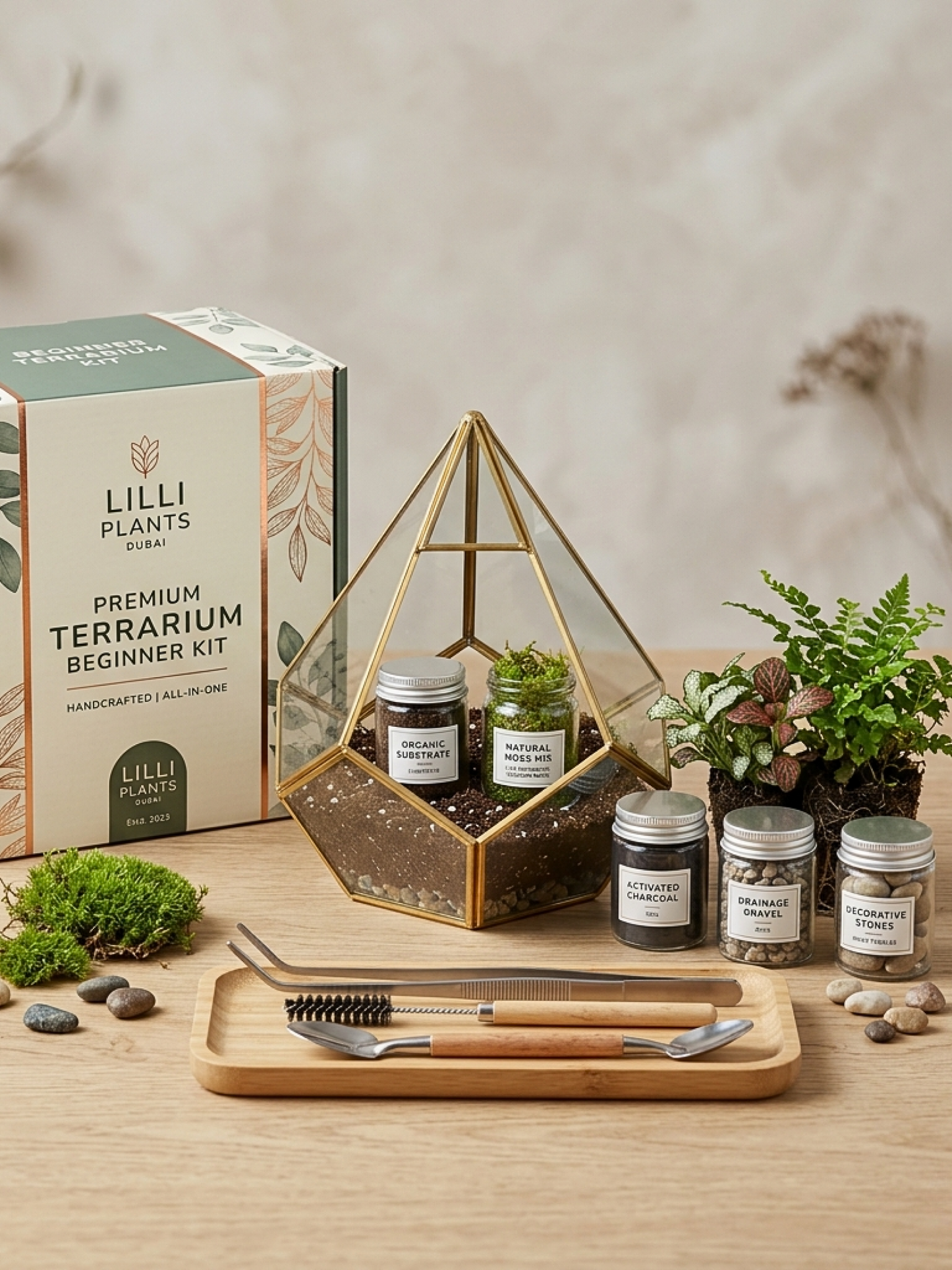 Beginner terrarium kit delivered across UAE for live ecosystem building workshop guided by Lilli Plants.