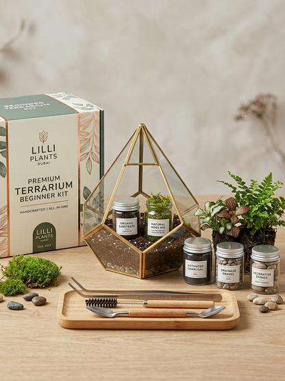 Beginner terrarium kit delivered across UAE for live ecosystem building workshop guided by Lilli Plants.