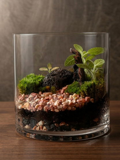 Natural forest stream inspired tabletop terrarium with cushion moss, lava rock and decorative pebble stream in Dubai by Lilli Plants