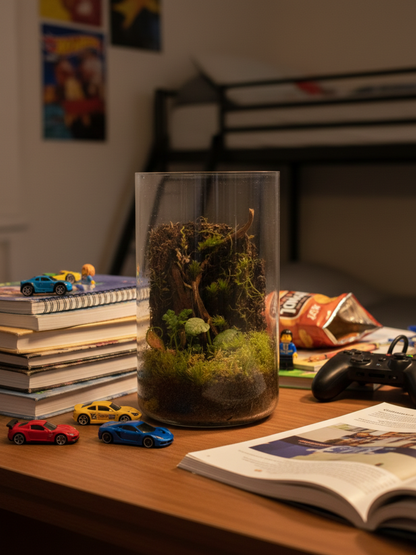 Petite tabletop terrarium featuring Fittonia Red, Selaginella, Ficus pumila